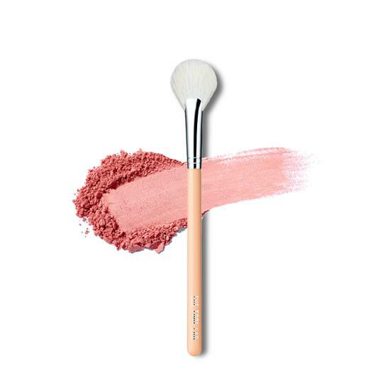 The Tool Lab 160 Blusher Fan Highlighter Powder Cheek Brush