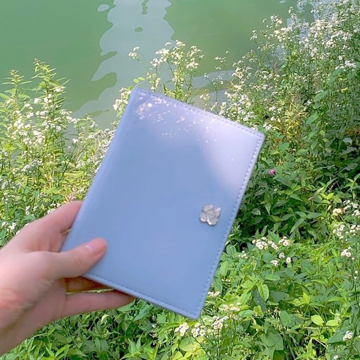 Pendent Passport Wallet 여권 케이스_Sky Blue