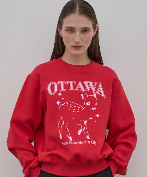 Deer sweatshirts_3Color
