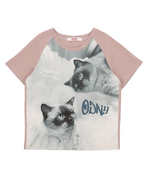 Cat Raglan T-shirt [Indie Pink]