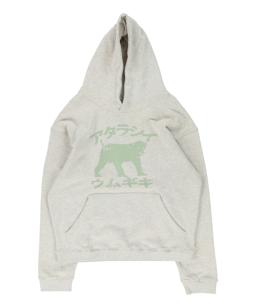 THE COLDEST MOMENT (TCM) move hoodie (oatmeal) - Size & Review | MUSINSA