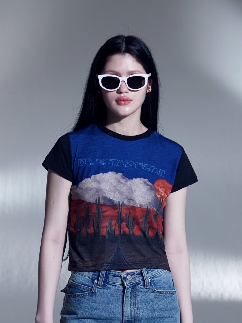 デザートグラフィッククロップTシャツ