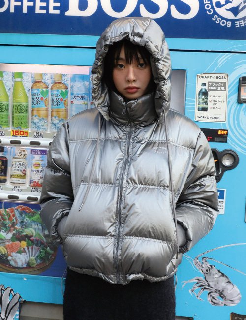 Hooded Down Reversible Jacket (Silver)