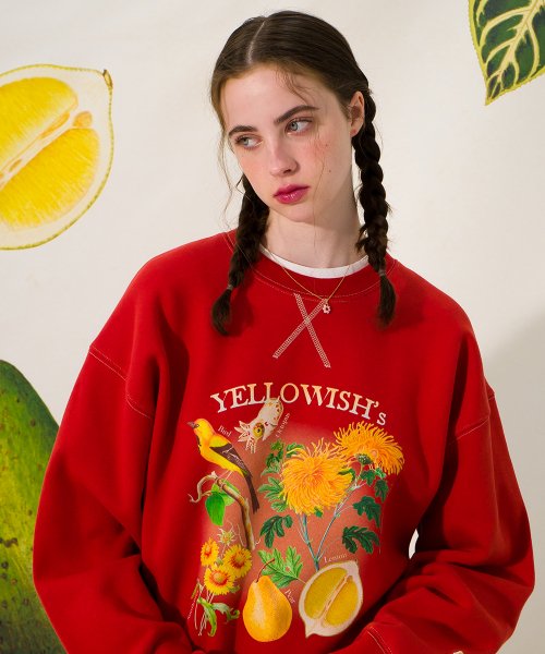 Yellowish Sweatshirt (BRICK)